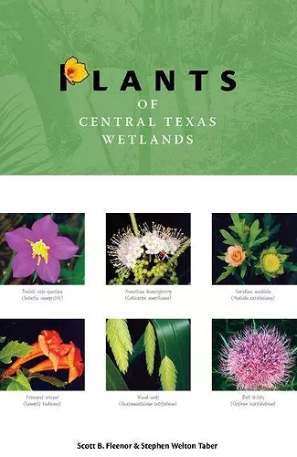 Plants of Central Texas Wetlands cover