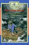The Great Storm cover
