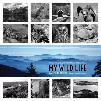 My Wild Life cover