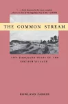 The Common Stream cover
