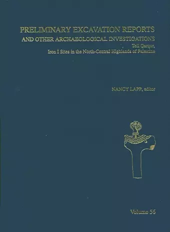 Preliminary Excavation Reports and Other Archaeological Investigations cover