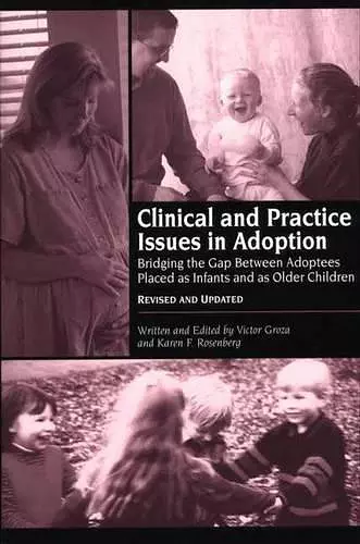 Clinical and Practice Issues in Adoption cover