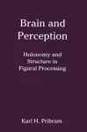 Brain and Perception cover