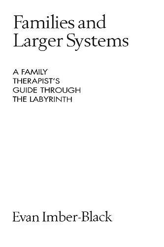 Families and Larger Systems cover