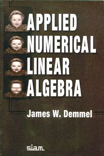 Applied Numerical Linear Algebra cover
