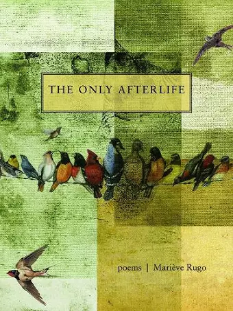 The Only Afterlife cover