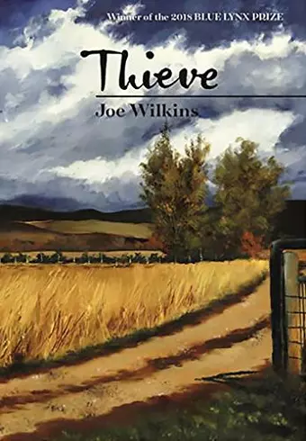 Thieve cover