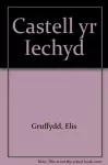 Castell yr Iechyd cover