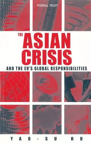 The Asian Crisis and the EU's Global Responsibilities cover