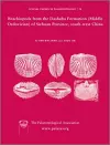 Special Papers in Palaeontology, Brachiopods from the Dashaba Formation (Middle Ordovician) of Sichuan Province, south-west China cover