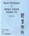 Secret Techniques of Wing Chun Kung Fu Volume 1 cover