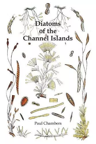 Diatoms of the Channel Islands cover