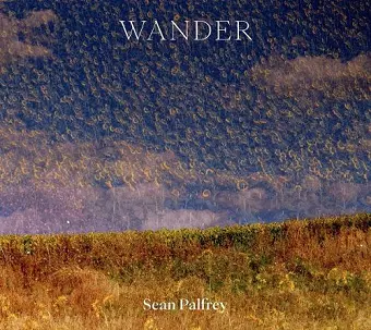 Sean Palfrey: Wander cover