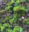 of Lichen & Moss cover