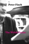 The Welsh Poems cover