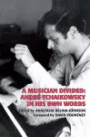 A Musician Divided cover