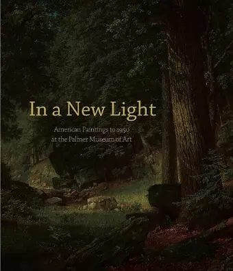 In a New Light cover