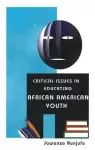 Critical Issues in Educating African American Youth cover