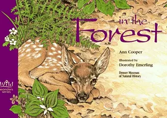 In the Forest cover