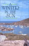 A Winter in the Sun cover