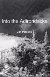 Into The Adirondacks cover