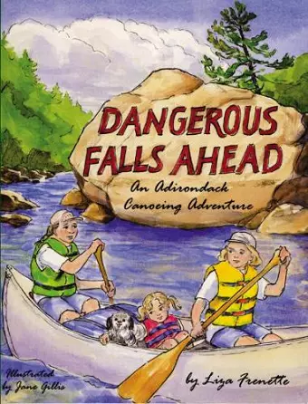 Dangerous Falls Ahead cover