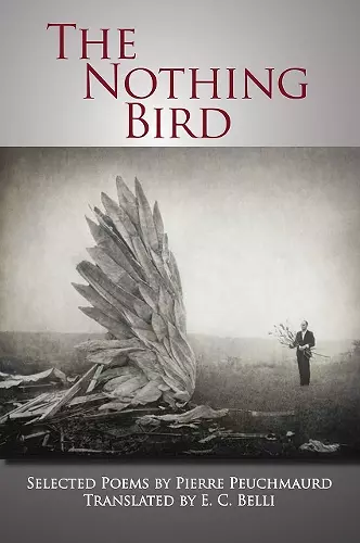 The Nothing Bird cover