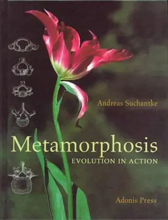 Metamorphosis cover