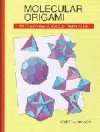 Molecular Origami cover