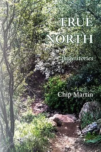 True North cover