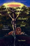 Alchemy of Soul cover