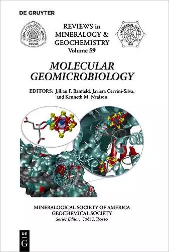 Molecular Geomicrobiology cover