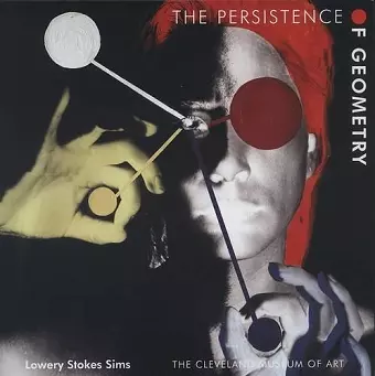 The Persistence of Geometry cover