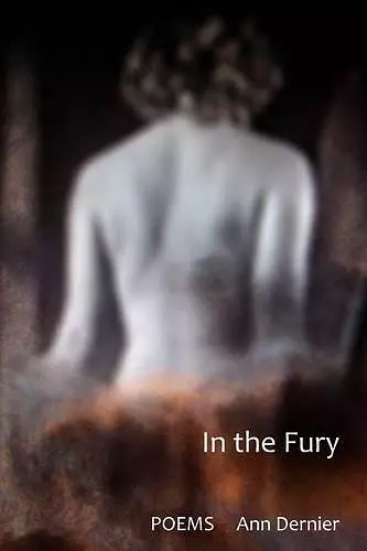 In the Fury cover