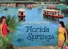 Remembering Florida Springs cover
