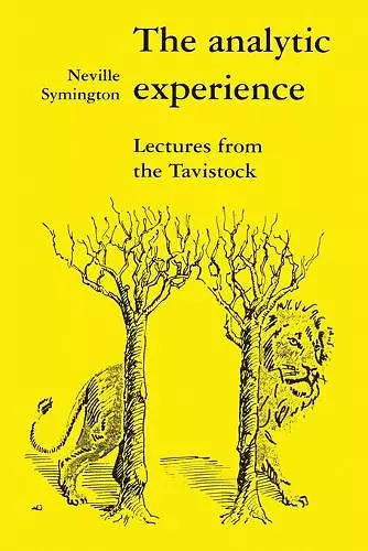 The Analytic Experience cover