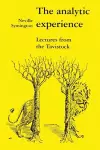 The Analytic Experience cover