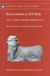 Excavations at Tell Brak Volume 2 cover