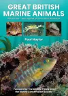 Great British Marine Animals cover