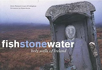 Fish Stone Water cover