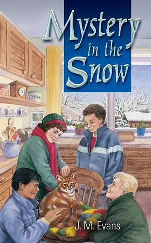 Mystery in the Snow cover