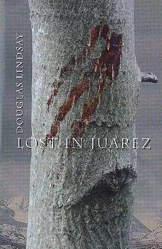 Lost in Juarez cover
