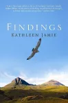 Findings cover