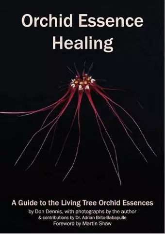 Orchid Essence Healing cover