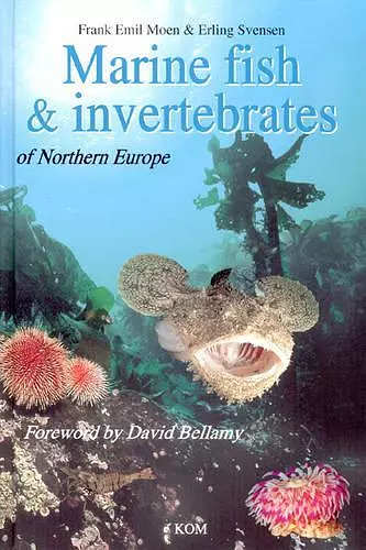 Marine Fish & Invertebrates of Northern Europe cover