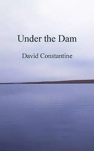 Under the Dam cover