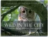 Wild in the City cover
