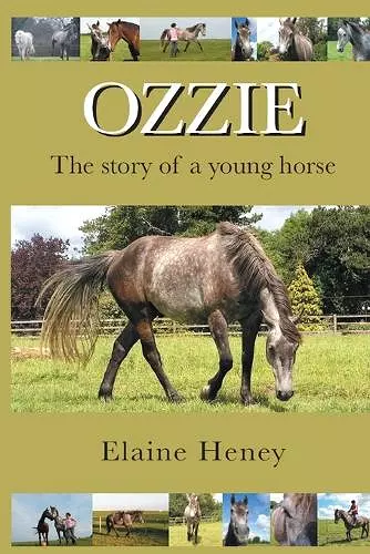 Ozzie cover