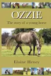 Ozzie cover