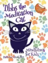 Tibbs the Meditation Cat cover